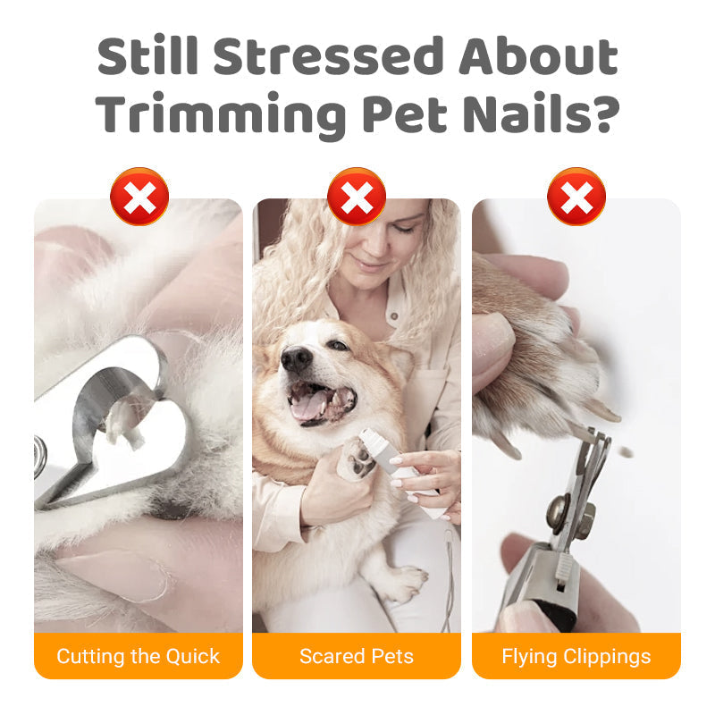 🐕 Fából készült körömreszelő cserélhető betétekkel 💅