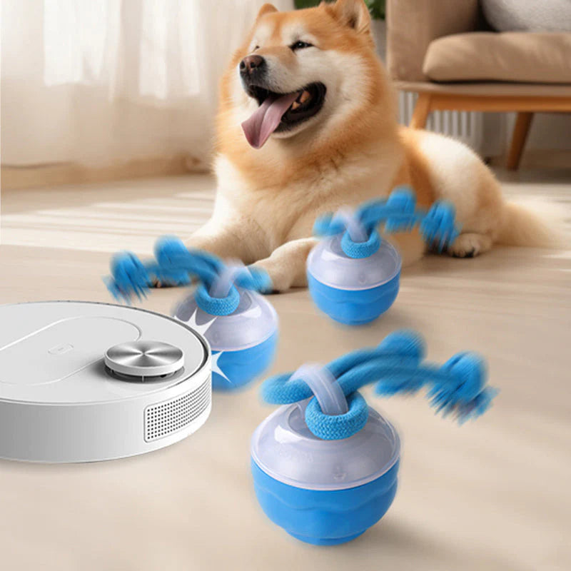 Interaktív elektronikus játék állatok megnyugtatására – labda🐾⚽