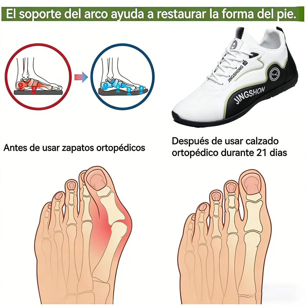 🔥 30% de descuento - ¡No te lo pierdas!Zapatillas ergonómicas para adultos mayores - Zapatos de caminar ortopédicos